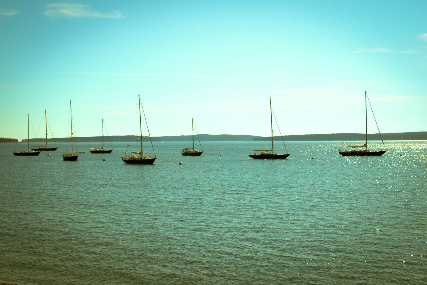 Boats In Maine