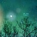 We Are Magic 16x20 / Landscape Nature Photo, LARGE Custom Wedding Poster, Valentines, Anniversary, Romantic Decor, Fantasy, Night Sky, Stars