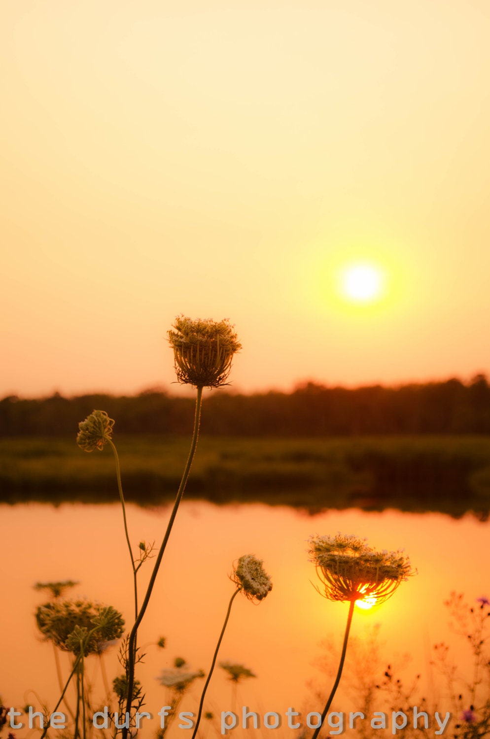 always together yet forever apart- fine art photograph- 8x12  -sea isle city-  jersey shore - new jersey
