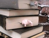 Pig in the Book - Unique Art Bookmark