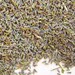 Lavender flower buds - 8 oz.