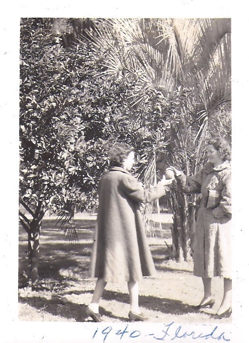 Two vintage photographs, Georgia Peaches and Florida Oranges