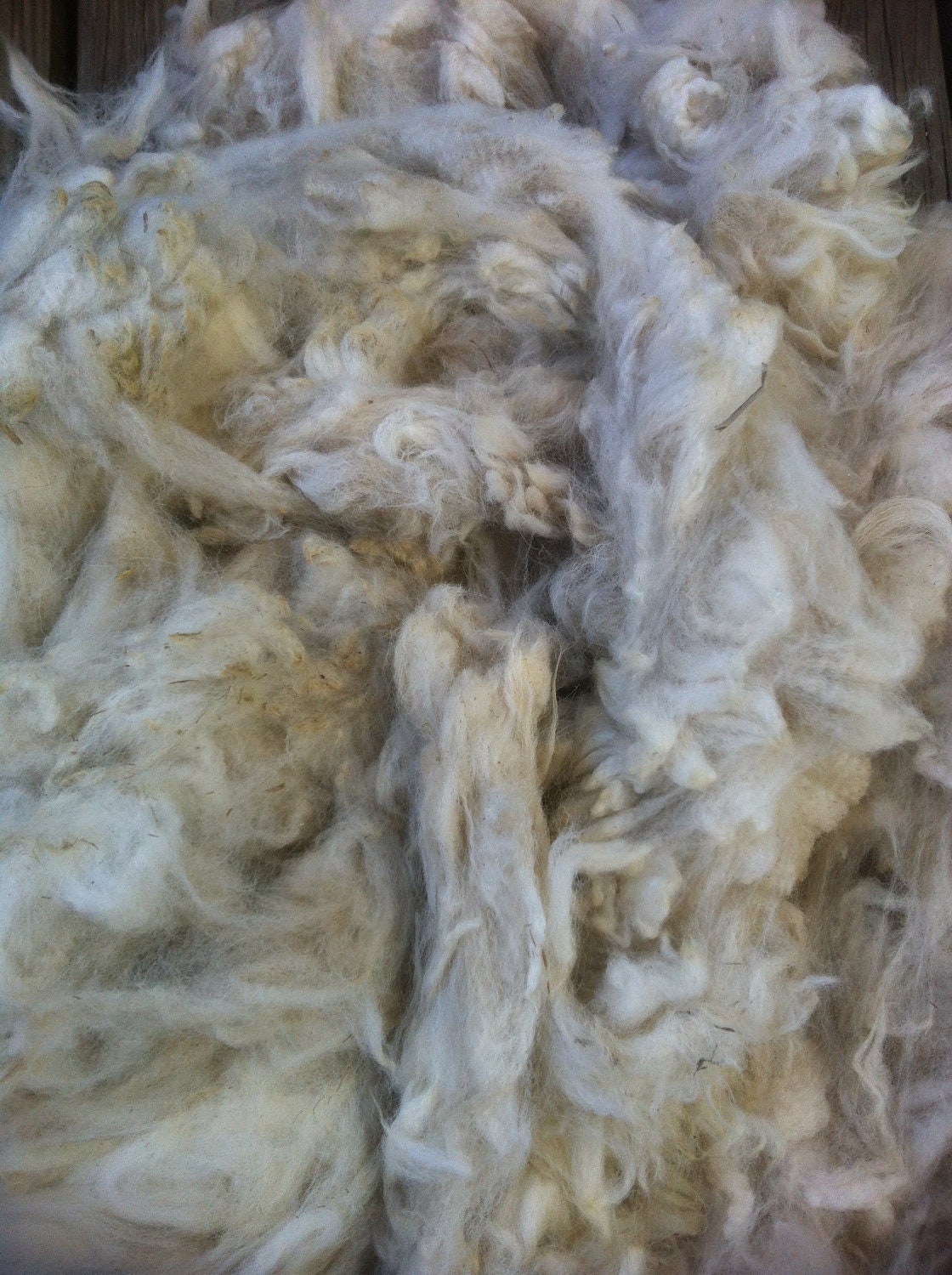 White Fiber Alpaca Fleece 5oz Spinning Fiber from Colorado Ancient Treasures