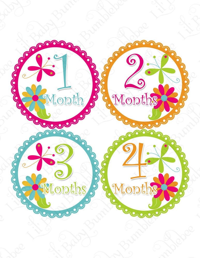 Monthly Onesie Baby Stickers - Victoria - Cute Whimsical Colorful Flowers and Dragonflies Dragonfly - Great Baby Shower and Photo Prop