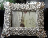 Seashell picture frame - Silvery Iridescence