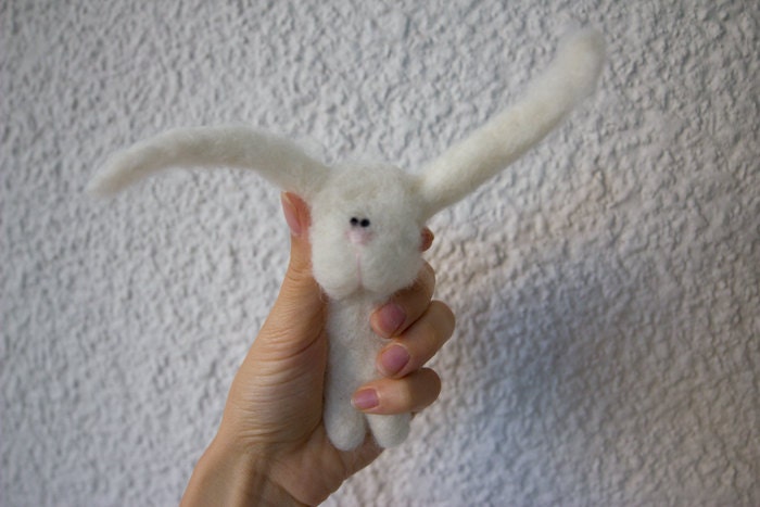 little hare