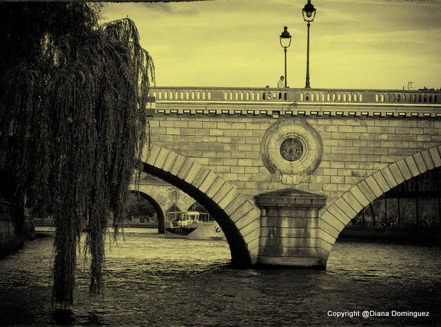 On the Seine Paris France 8x10  Fine Art Print Photography