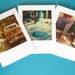Polaroid Card Set