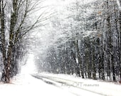 Winter Photography, Winter Decor, Christmas Decor,  White, Snow, Woodland, Black and White - 8x10 Print - 8daysOfTreasures