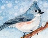 Tufted Titmouse ACEO or 5x7 Art Print of Watercolor Bird Painting