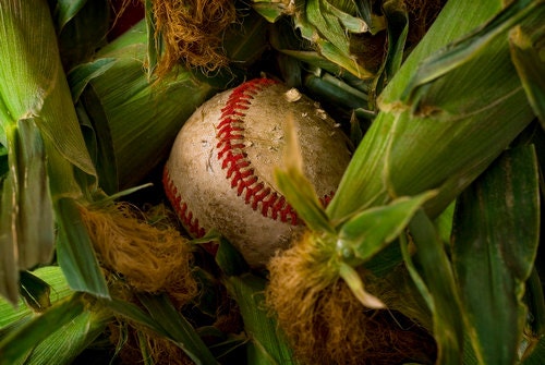 Wall decor Baseball print corn and green still life home decor fine art color 8x10 print