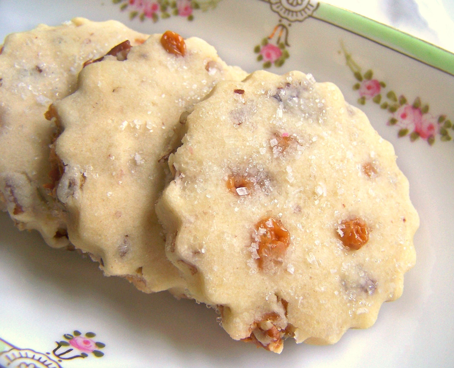 Classic Southern Treat - Praline Shortbread - 1 Dozen Cookie Gift Tin Father's Day Gift