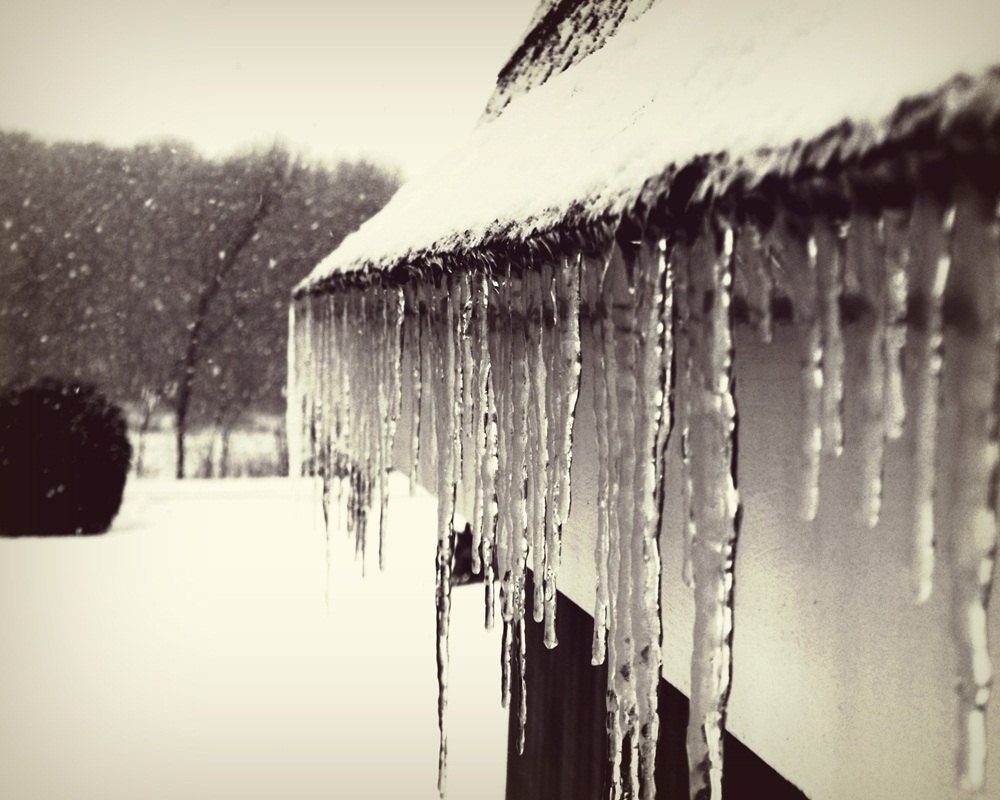 Winter landscape photograph nature photography,icicles,decor,snow,gifts under 25,winter,black and white