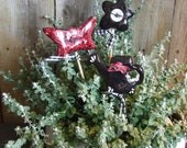 Garden themed plant pics for your summer centerpiece or indoor plants