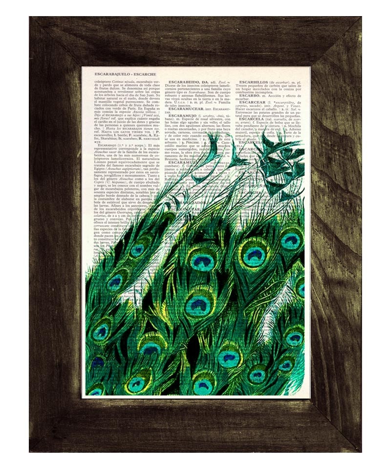 Peacock with endless tail no 2Print on Vintage Dictionary Book altered art dictionary page illustration book print peacock art
