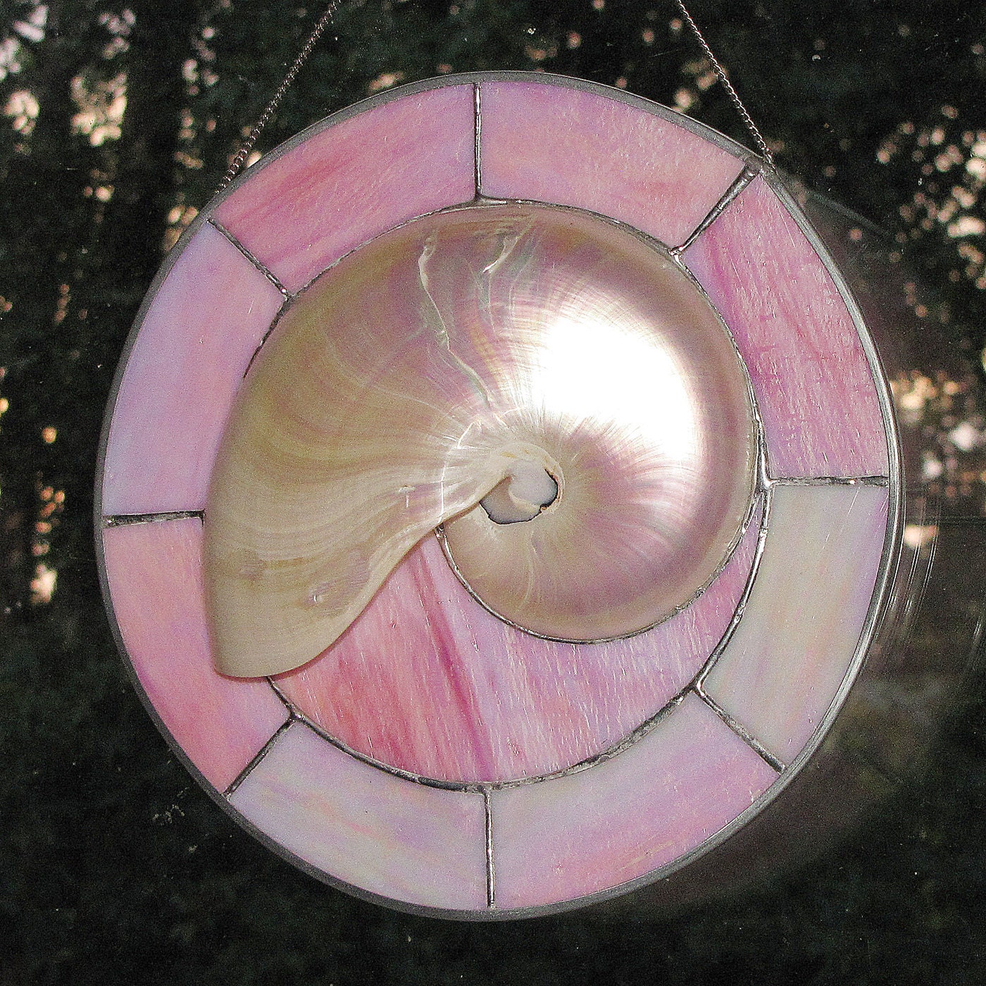 Stained Glass Panel - Unique Mixed Media Panel with Shell, Chamber of Nautilus