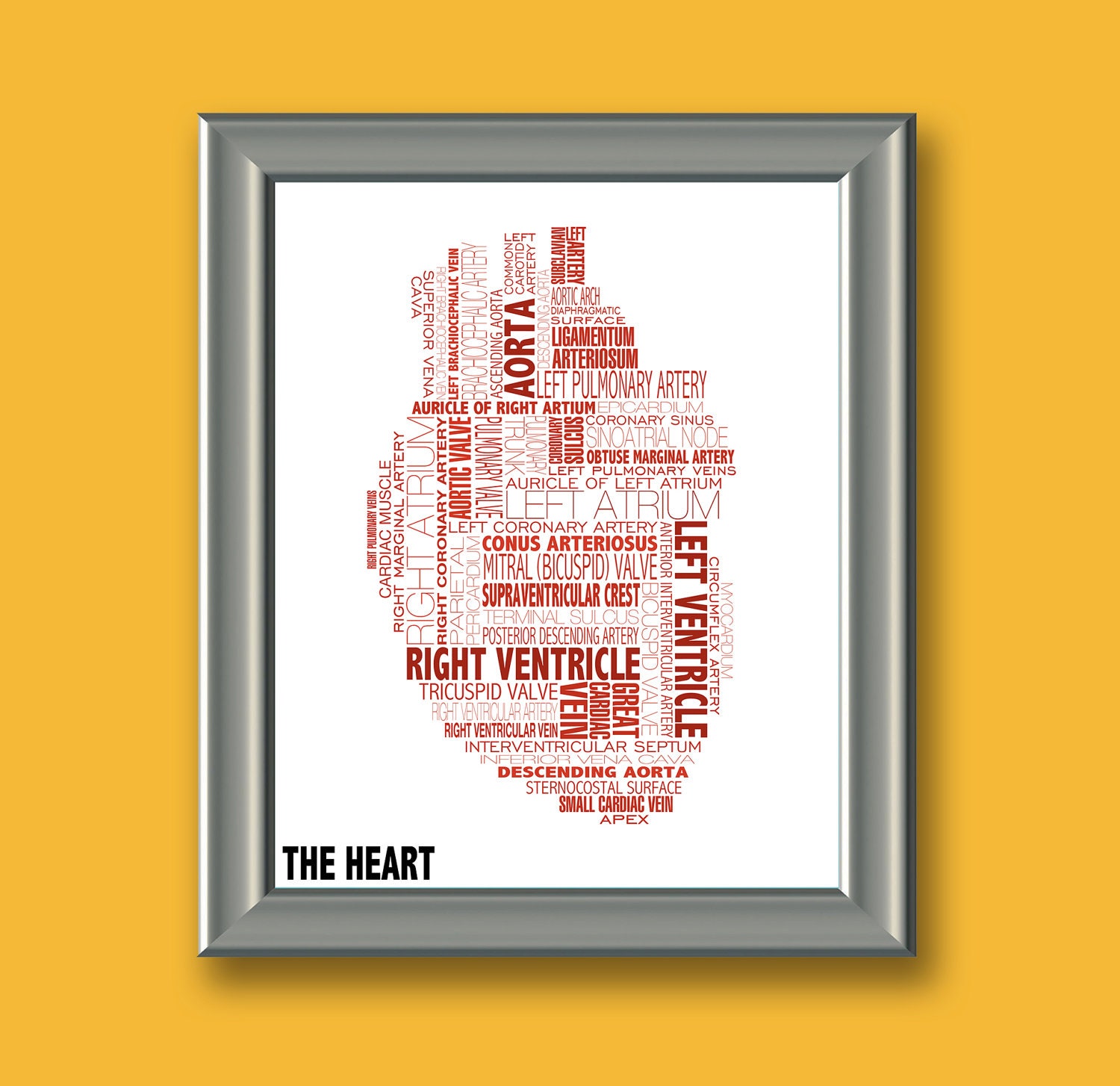 Anatomical Heart Typography 8x10 Print