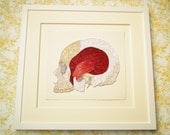 Quilled skull, Fine art anatomical diagram, framed quilled fine art, doctor decor