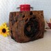 Rustic Candle Holder Arizona Teddy Bear Cholla Cactus Wood