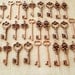 Keys to the World - Skeleton Keys - 28 x Large Vintage Keys Antique Copper Skeleton Key Skeleton Keys Set