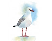 Seagull Painting  -beach ocean summer decor-   Print of watercolor painting - 5 by 7 print - Splodgepodge