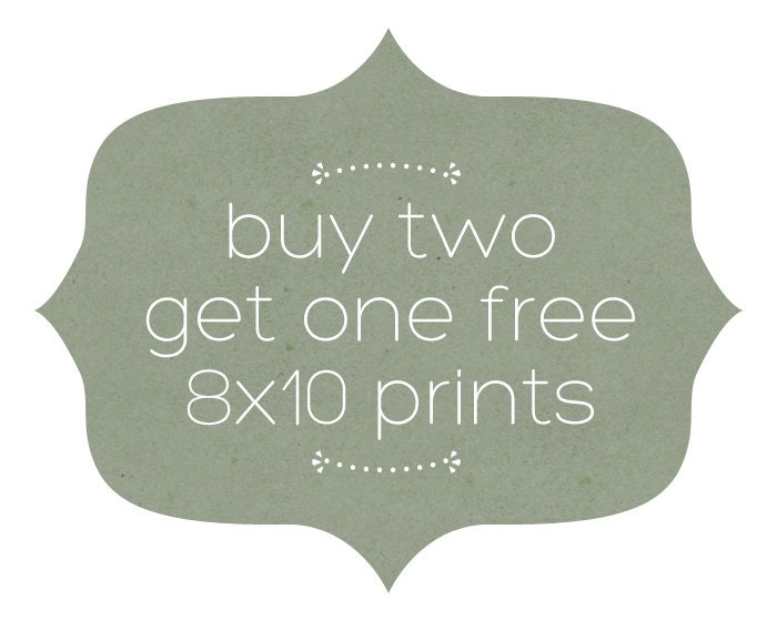 Buy Two, Get One Free 8x10 Prints
