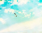 Fine Art Photography - bird flying sky clouds - aqua blue teal turquoise yellow - white nursery print pastel - baby room - 8x10 Photograph