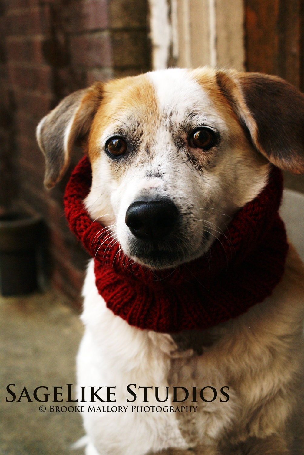 FREE SHIPPING / Cozy Canine Cowl: Custom hand knit dog cowl
