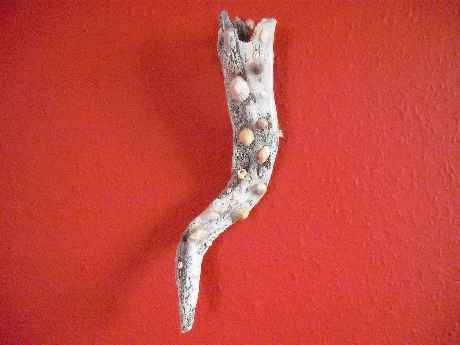 Horn Of Plenty wall hanger