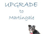 Upgrade to Martingale