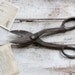 Vintage Metal Shears