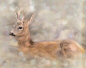 Deer Fine Art Nature Photograph Print 8" by 10" Dreamy Wall Art for Neutral Home Decor