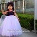 Flower girl dress Princess Wisteria TuTu Dress with a train. baby tutu dress, toddler tutu dress, wedding, birthday, Newborn, 2t,3t,4t,5t