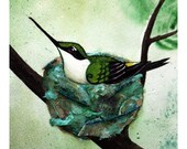 Bird Nest no. 27 Ruby-throated Hummingbird Watercolor and Found Object Art Print