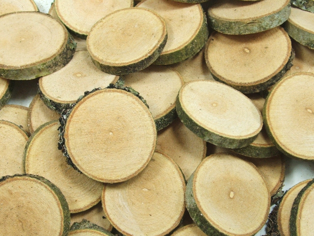 Wood Supplies 50 Wooden Ash Slices. 1 to 1 3/4 inch. Supplies for all your Crafts and Projects.