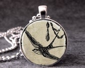 Vintage Flying Bird,  Altered Art Pendant, Photo Pendant, Glass Dome Pendant Necklace - 031-9
