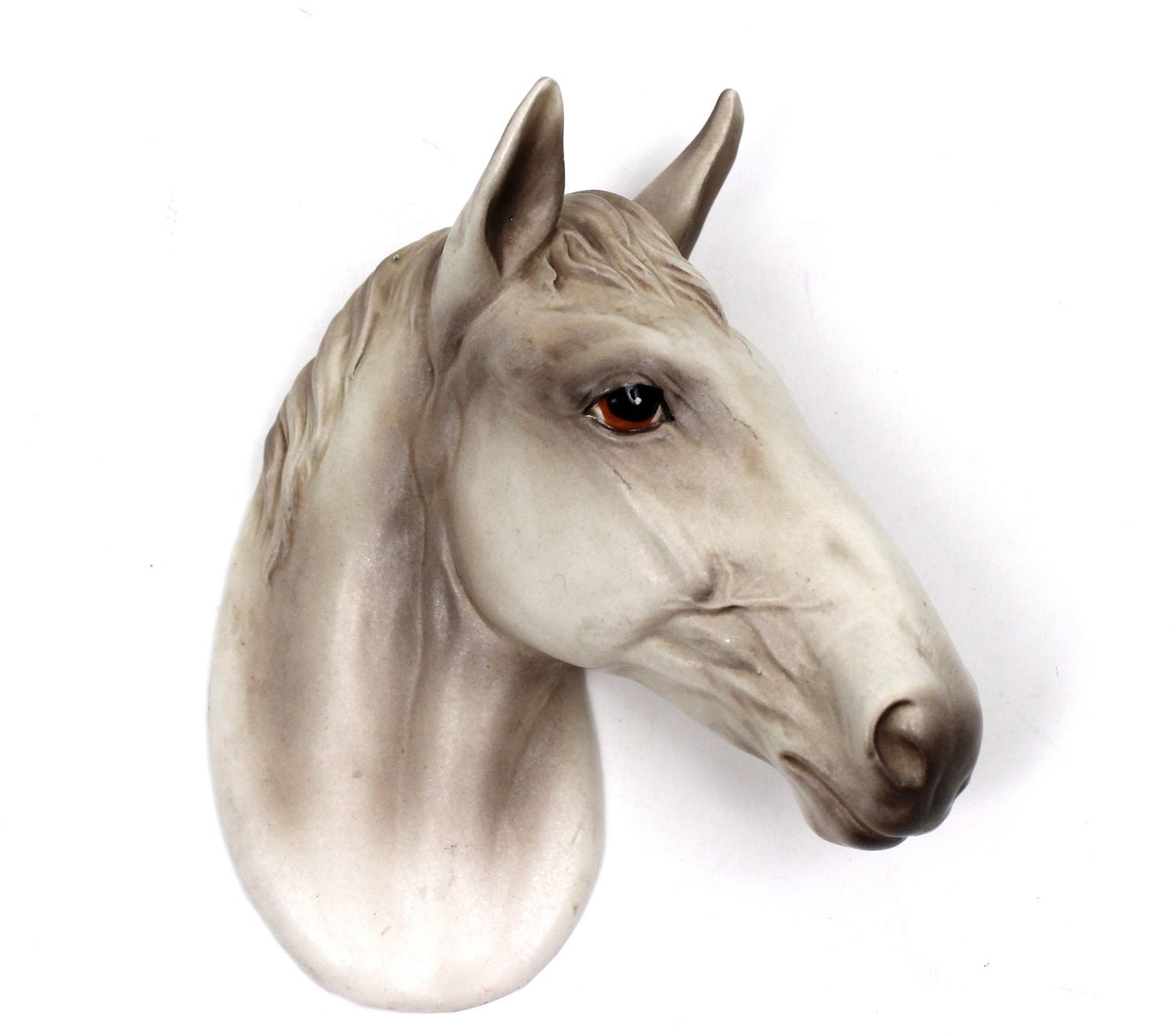 Pretty Horse Head