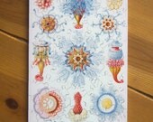 Jigsaw Puzzle, Handmade, Wooden, 64 pieces - "Siphonophorae" by Earnst Haeckel