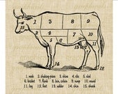 Vintage cattle meat chart digital download graphic image for iron on fabric transfer burlap decoupage pillows frames cards No. 1735