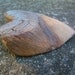 Knotted Driftwood Heart Shape Cut Out Original One of a Kind Wood Heart
