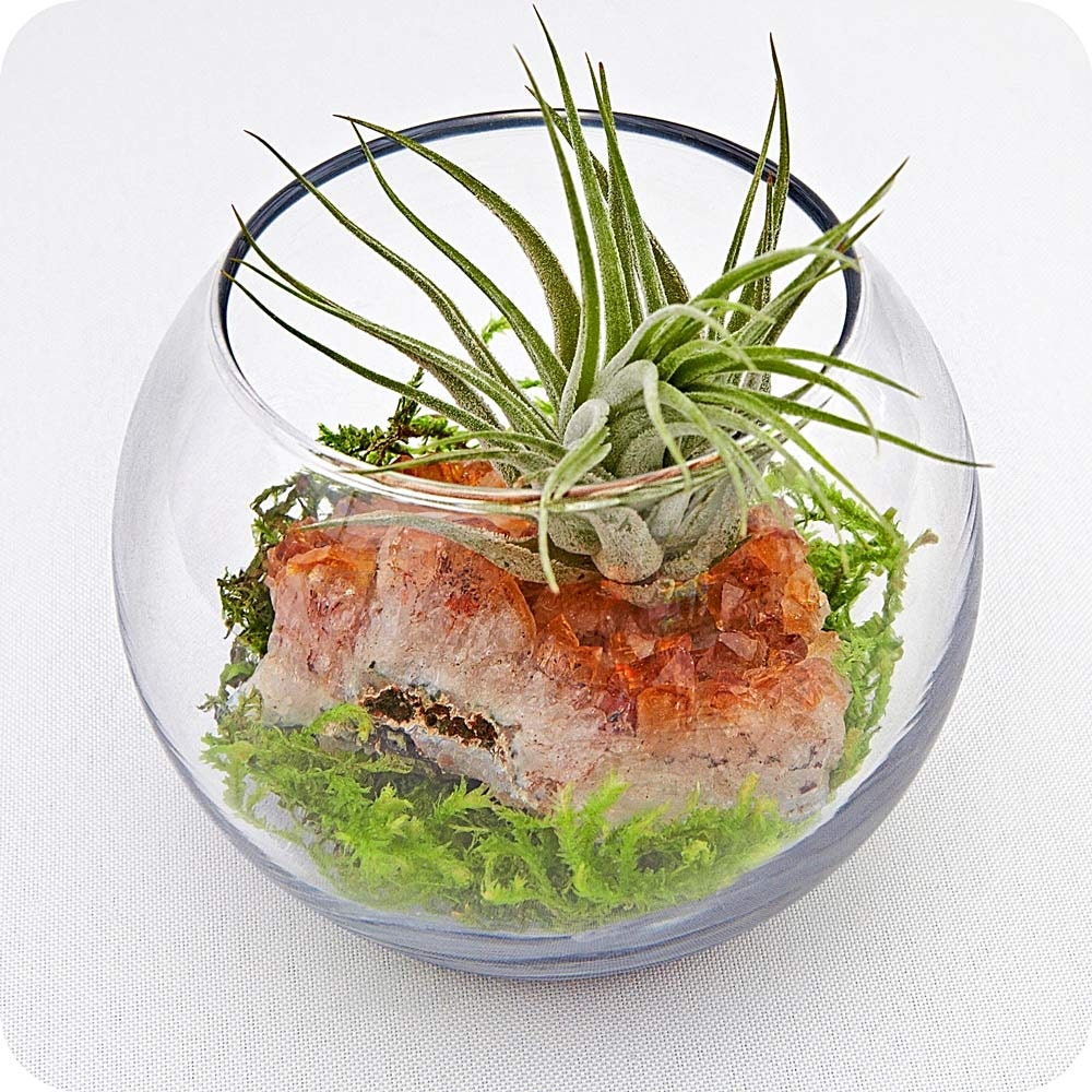 CITRINE ZEN  mini terrarium - party favors, air plant, hostess gifts, mothers day, centerpiece, zen garden, mothers day gift