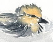 Duckling Print, Duck in a Teacup, Swimming Duckling, Teacup Painting, Small Square Print 5 x 5