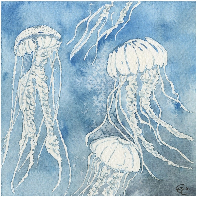 Jellyfish print, Blue Jellyfish, Deep Water Artwork, Ocean Wall Art, Dark Water Jellyfish, Seaside Art, 4 x 4