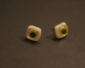 Dainty Little Spring Post Earrings (Glass-Fused)