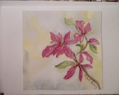 Holiday Card Pink Poinsettia Giclee Print from Original Watercolor Painting