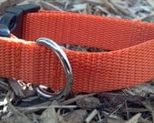 Orange Nylon Dog Collar (size small)