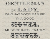 Jane Austen Quote Pride and Prejudice No Pleasure in a Good Novel Digital Download for Iron on Transfer Fabric Pillow Tea Towel DT539