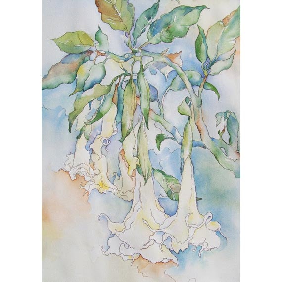 Nothing Good Gets Away - Limited edition print pastel white Angel Trumpet blossoms