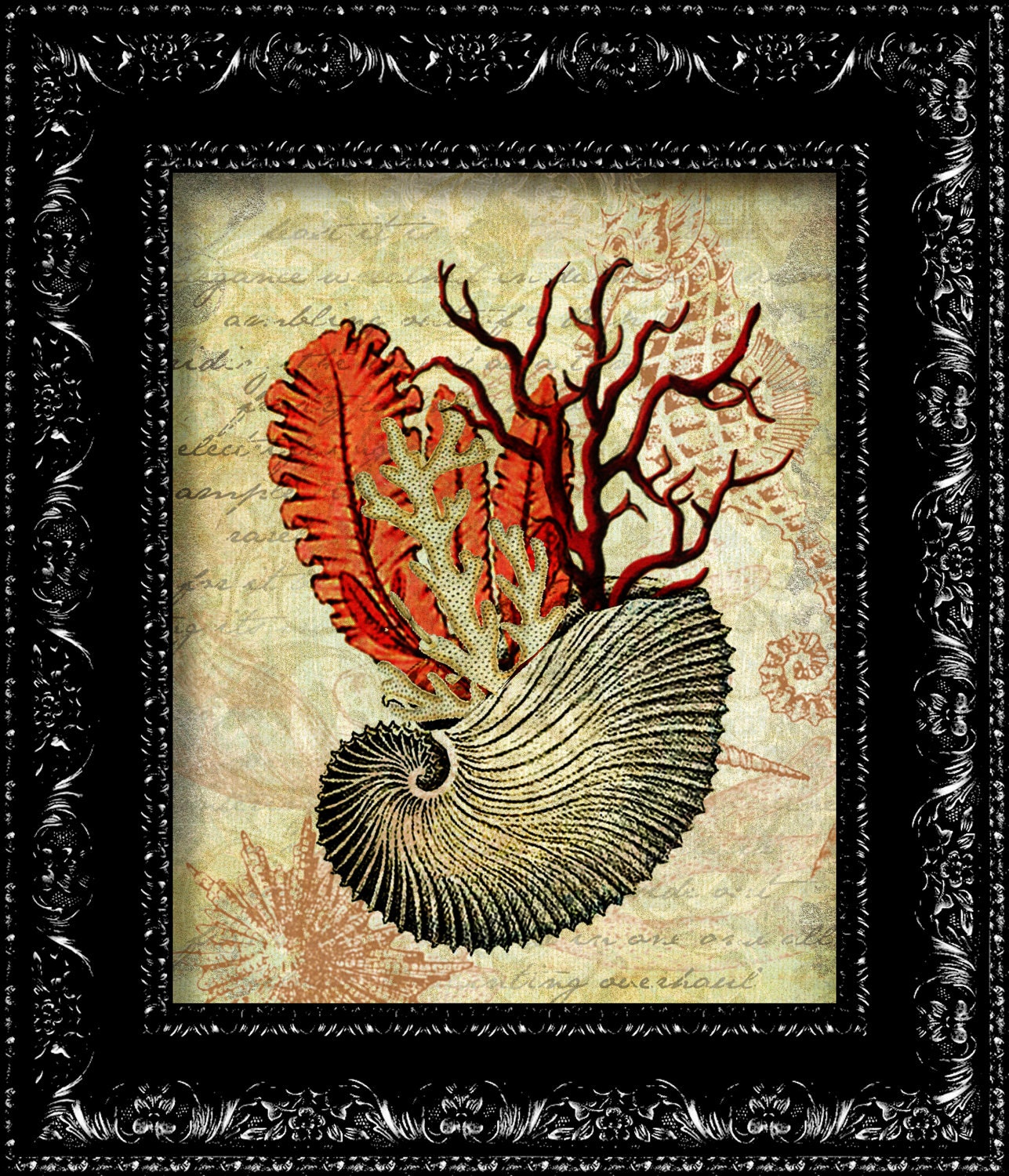 Nautical Vintage Sea Shell  - Vintage Retro Geekery Inspired - Collage Art Print -  8x10 Art Print Poster