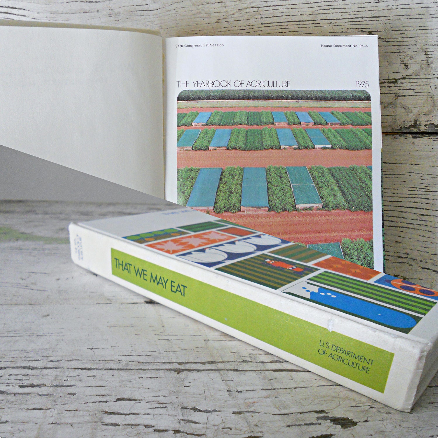 Vintage That We May Eat Book - 1975 Yearbook of Agriculture, American History